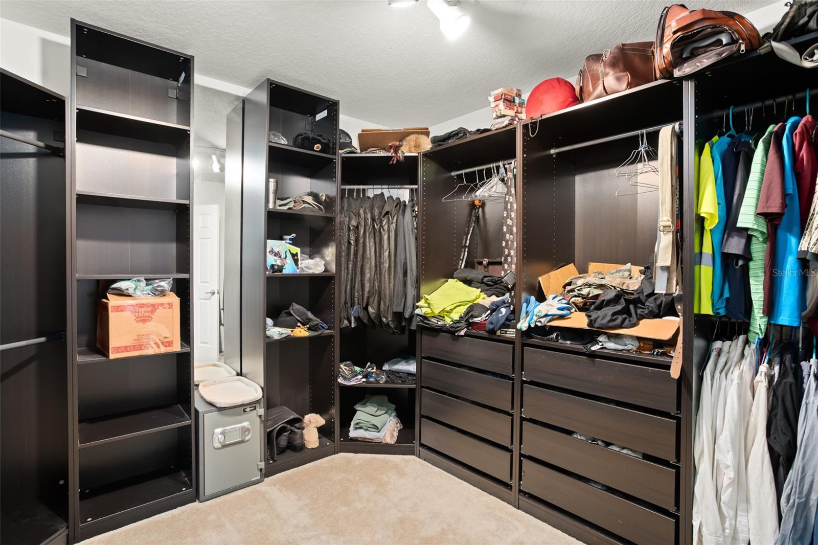 2040 TOUCHWOOD CT, APOPKA, FL, 32712