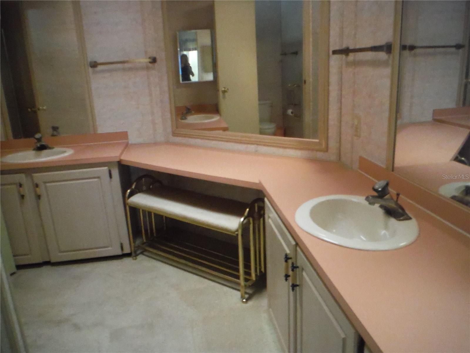 231 TARPON LN, OLDSMAR, FL, 34677