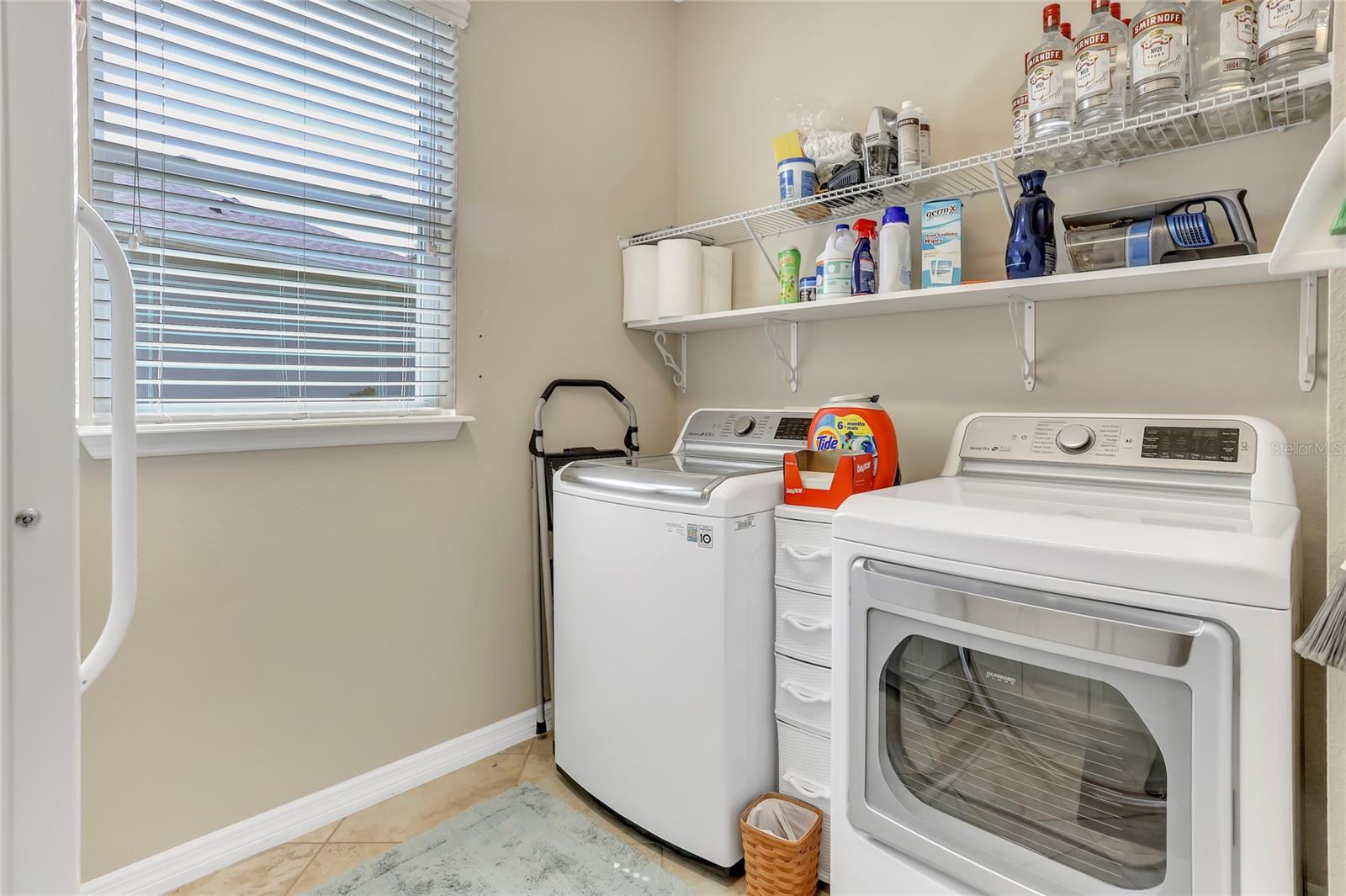 96 SILVER MAPLE RD, GROVELAND, FL, 34736