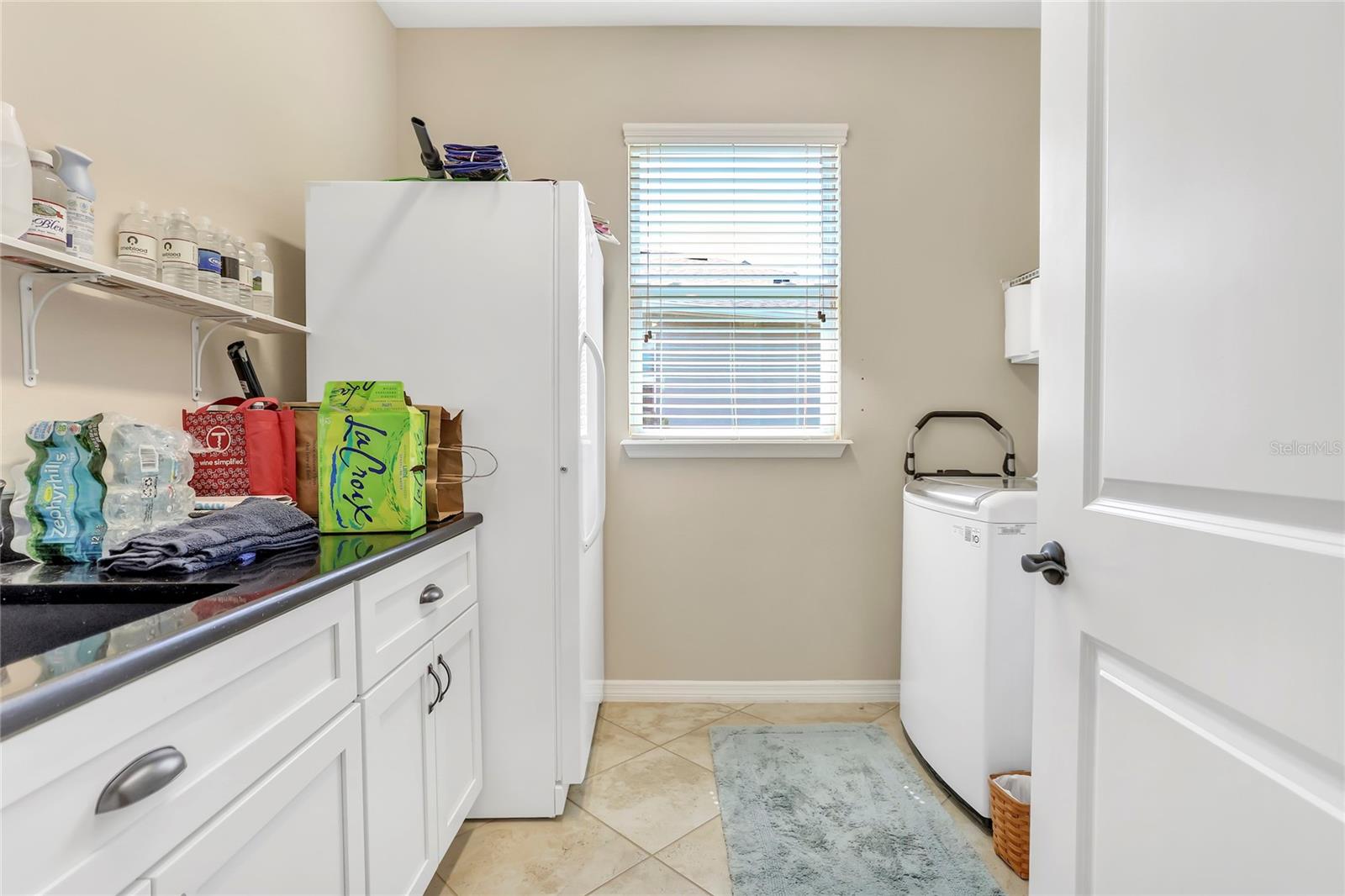 96 SILVER MAPLE RD, GROVELAND, FL, 34736