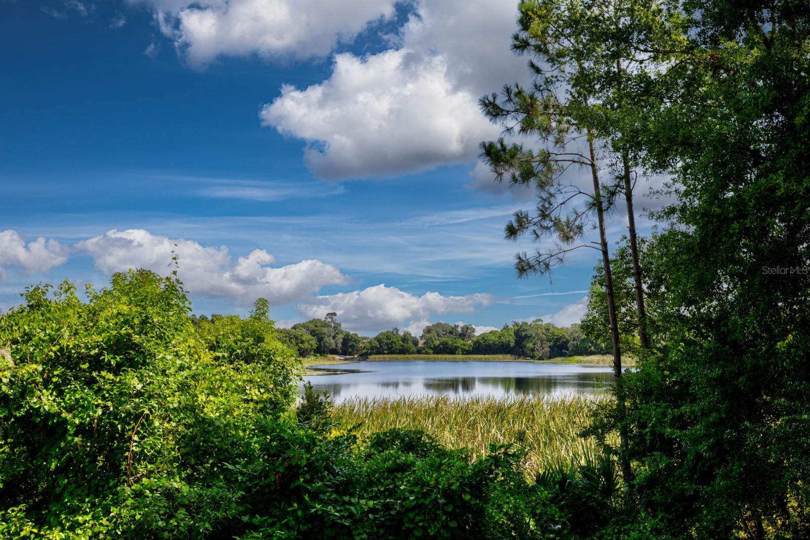 779 STEPHENS PASS CV, LAKE MARY, FL, 32746