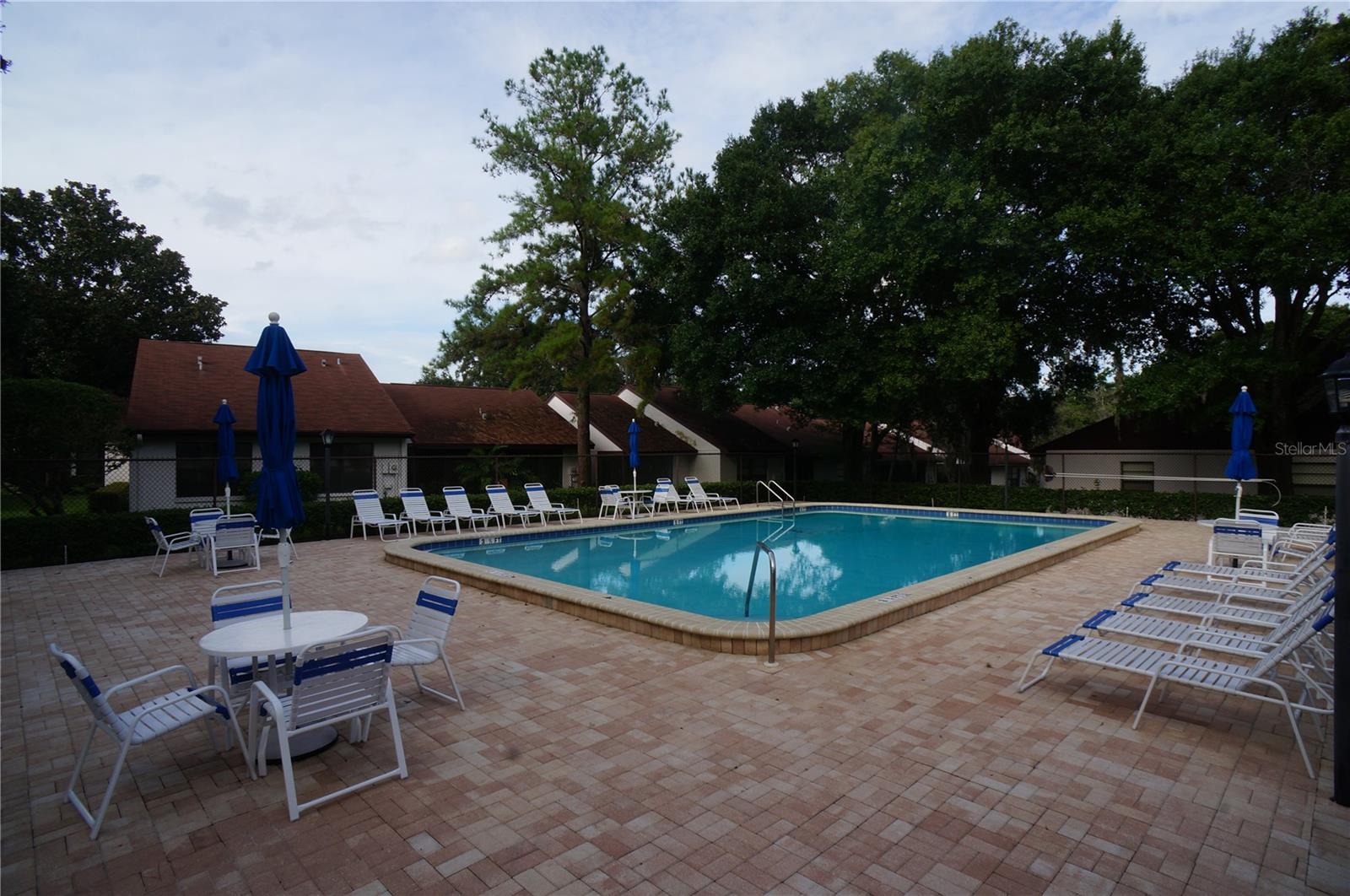 3590 MAGNOLIA RIDGE CIR #1121, PALM HARBOR, FL, 34684