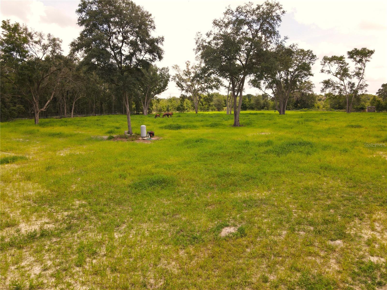 111 SW OSPREY TER, FORT WHITE, FL, 32038