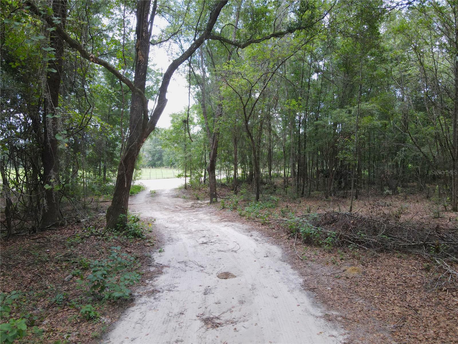 111 SW OSPREY TER, FORT WHITE, FL, 32038
