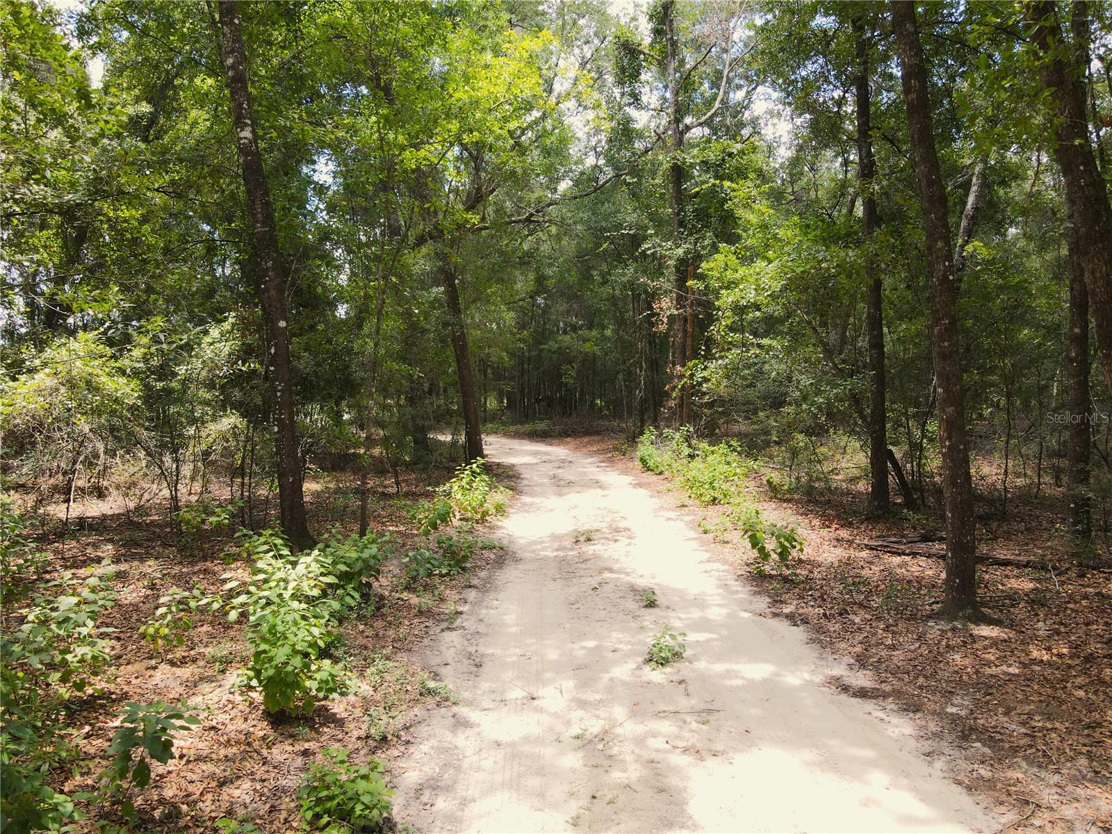 111 SW OSPREY TER, FORT WHITE, FL, 32038