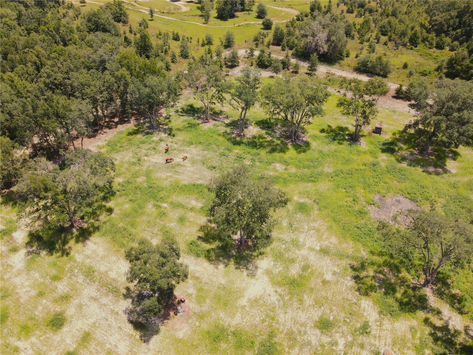 111 SW OSPREY TER, FORT WHITE, FL, 32038