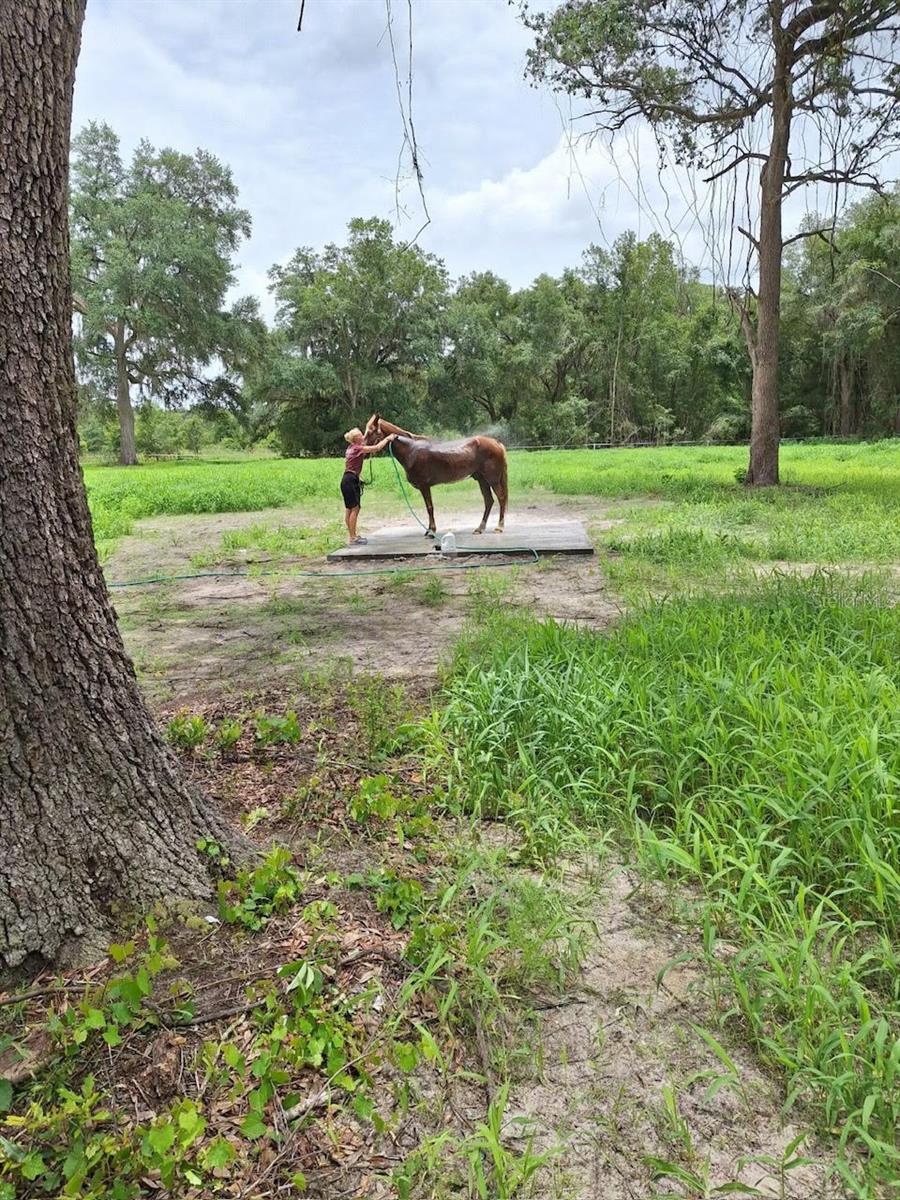 111 SW OSPREY TER, FORT WHITE, FL, 32038