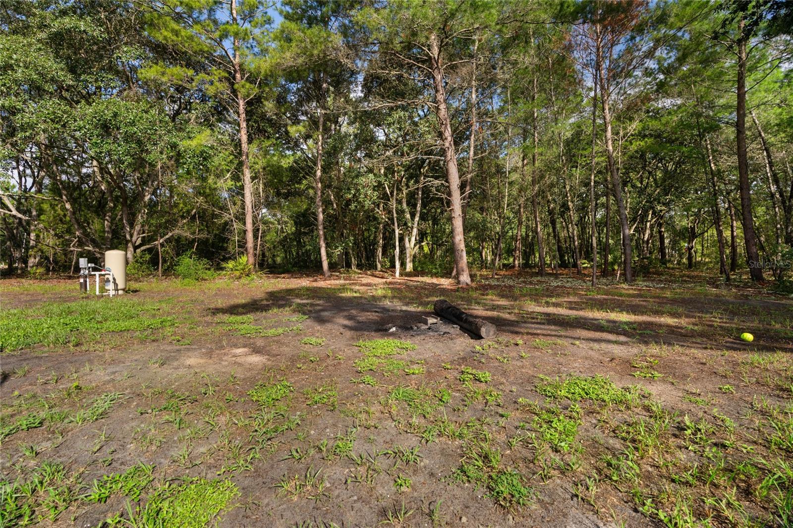 6 FISHER WAY PL, OCKLAWAHA, FL, 32179