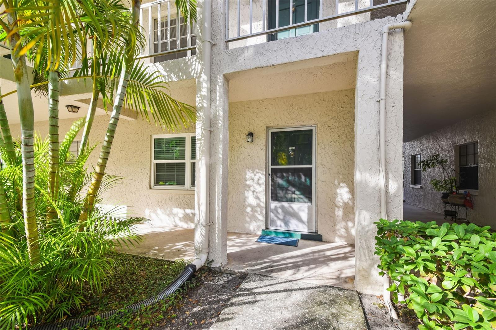 4315 AEGEAN DR #116C, TAMPA, FL, 33611