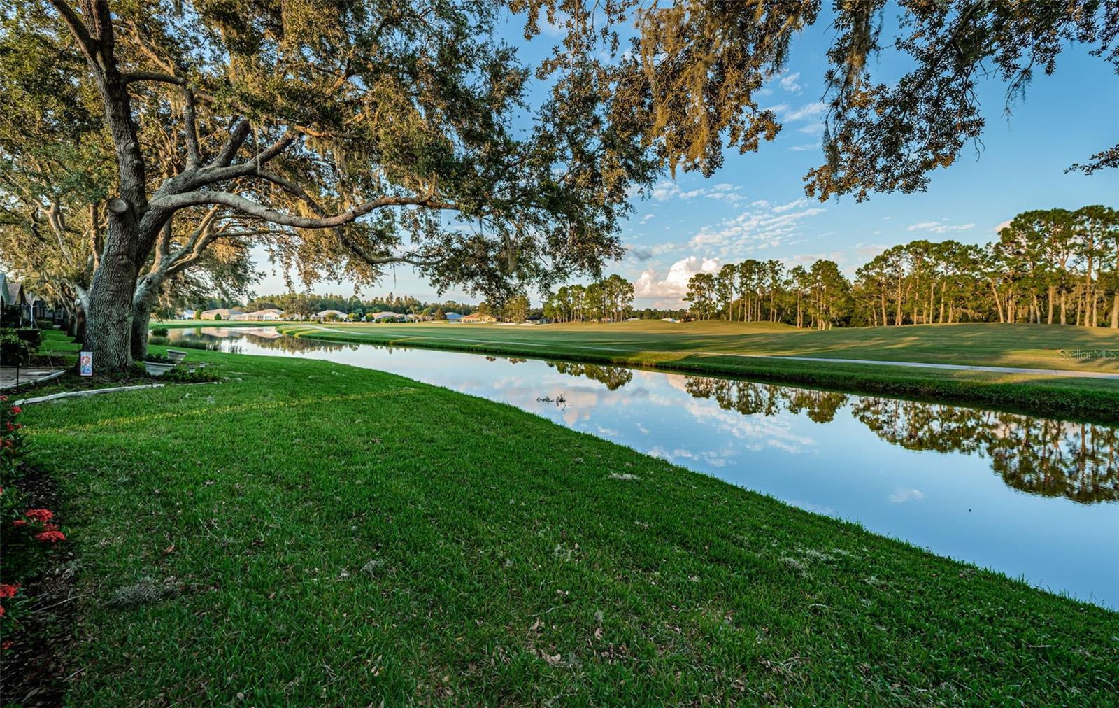 1346 HICKORY MOSS PL, TRINITY, FL, 34655