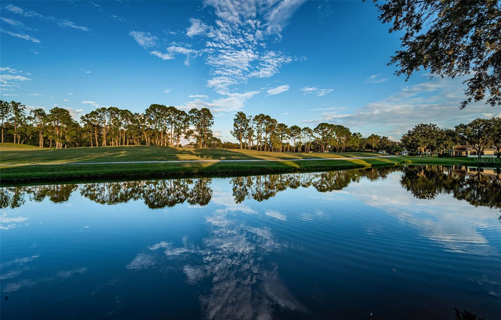 1346 HICKORY MOSS PL, TRINITY, FL, 34655