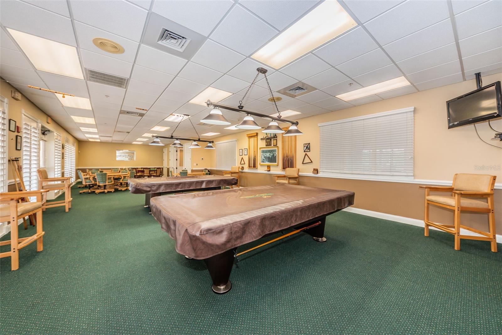 1346 HICKORY MOSS PL, TRINITY, FL, 34655