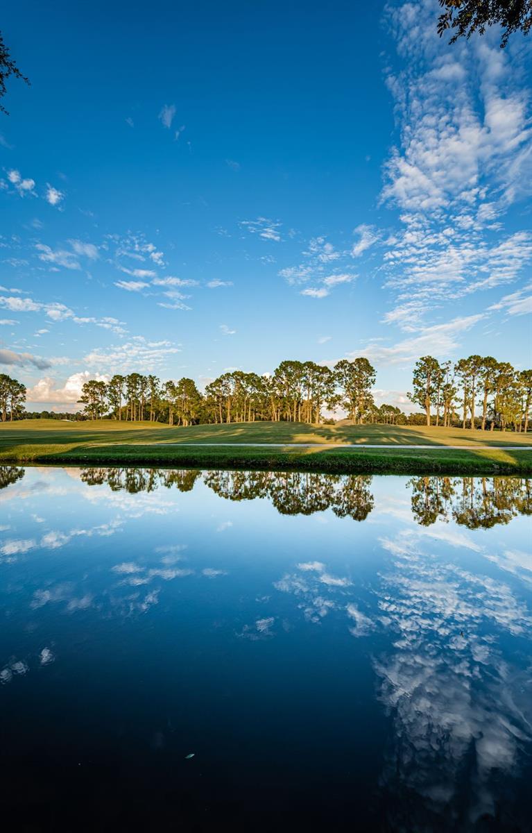 1346 HICKORY MOSS PL, TRINITY, FL, 34655