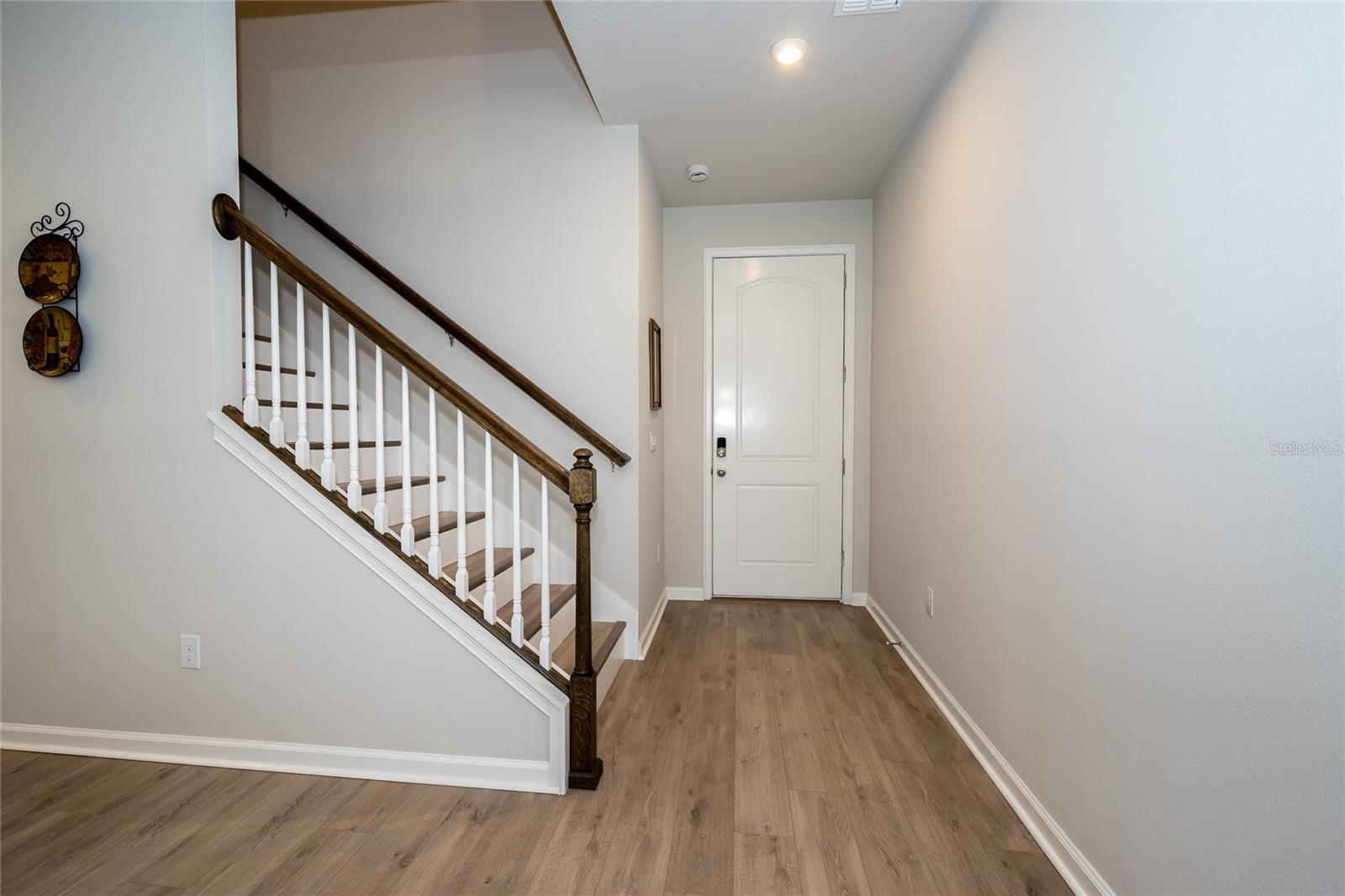 26082 WOVEN WICKER BND, LUTZ, FL, 33559