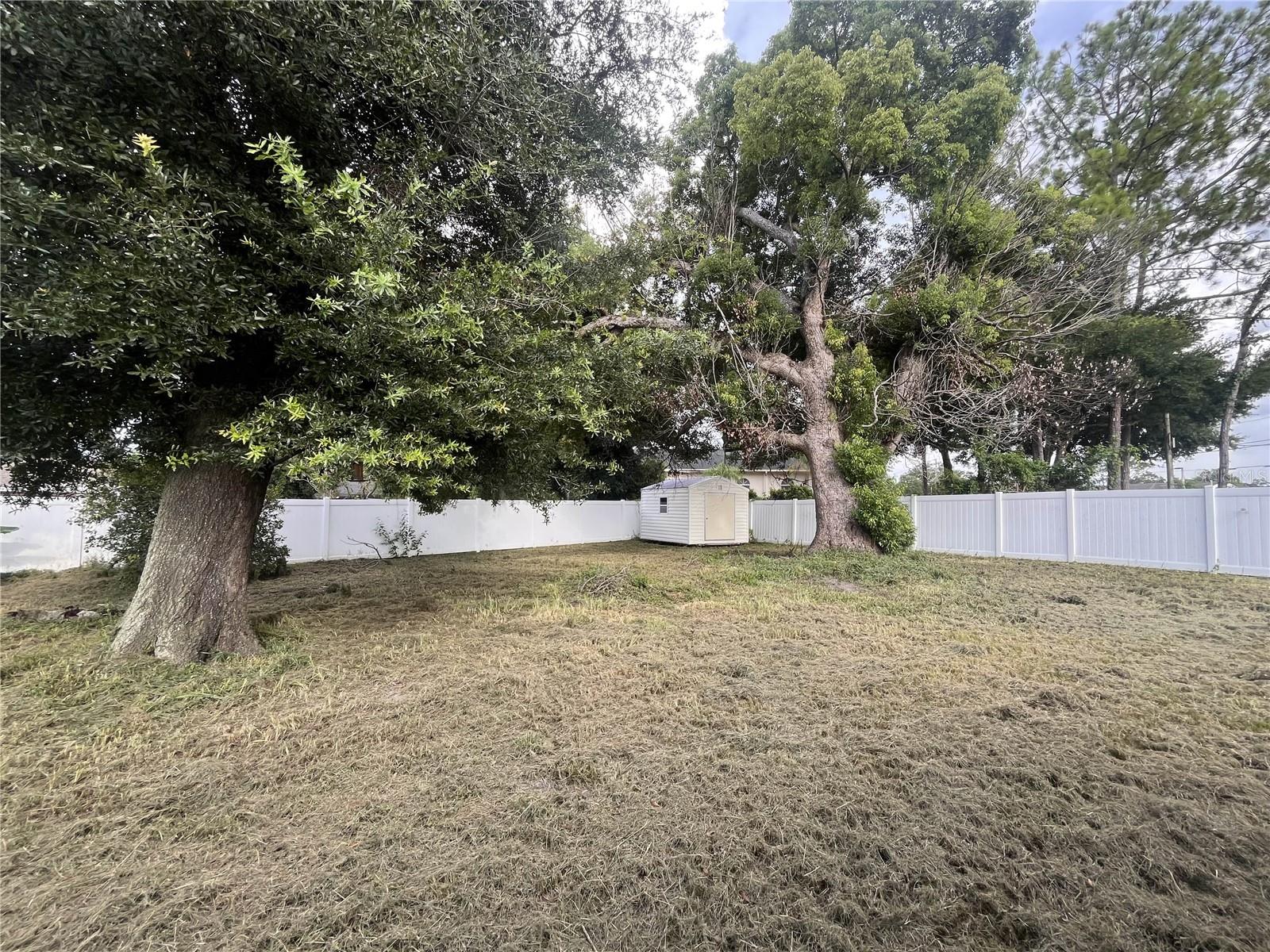 7609 ROSE AVE, ORLANDO, FL, 32810