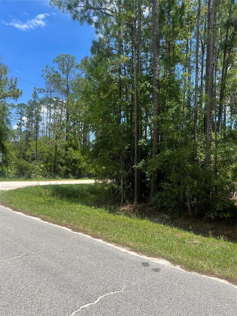 1251 AVOCADO BLVD, BUNNELL, FL, 32110