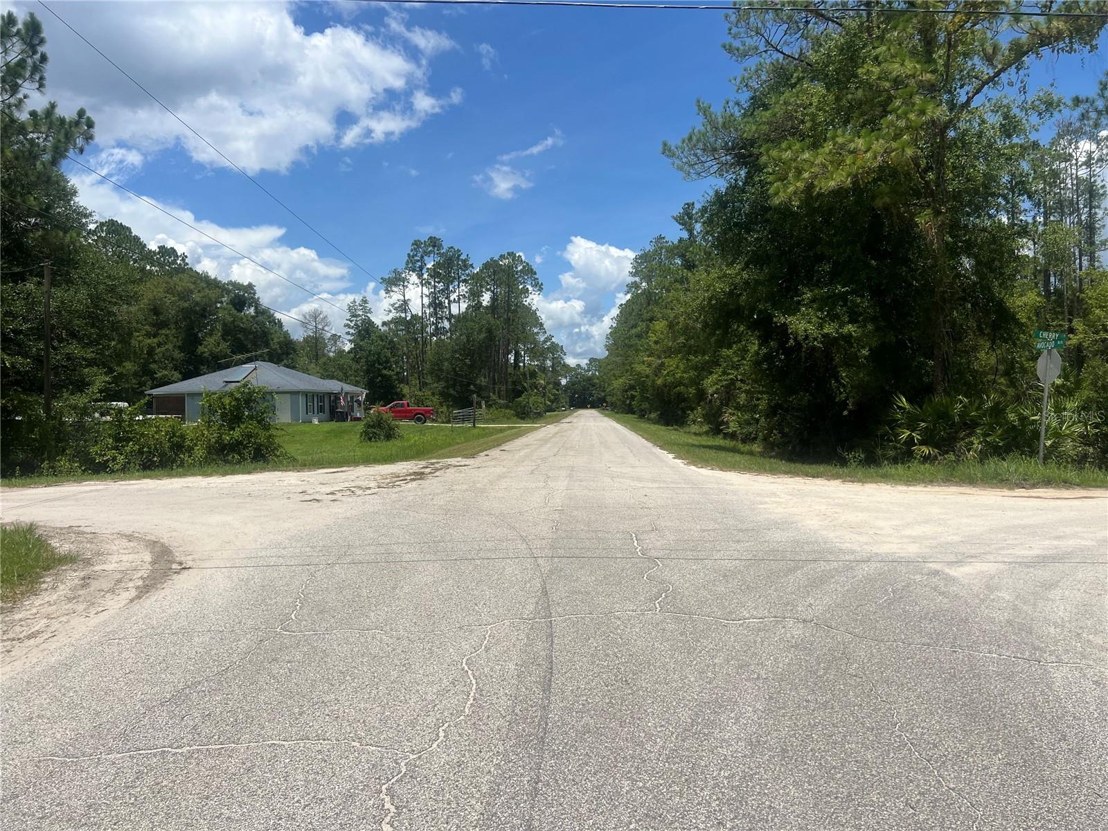 1251 AVOCADO BLVD, BUNNELL, FL, 32110