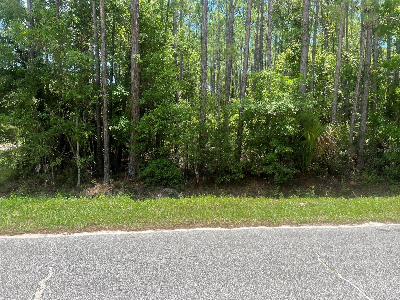 1251 AVOCADO BLVD, BUNNELL, FL, 32110