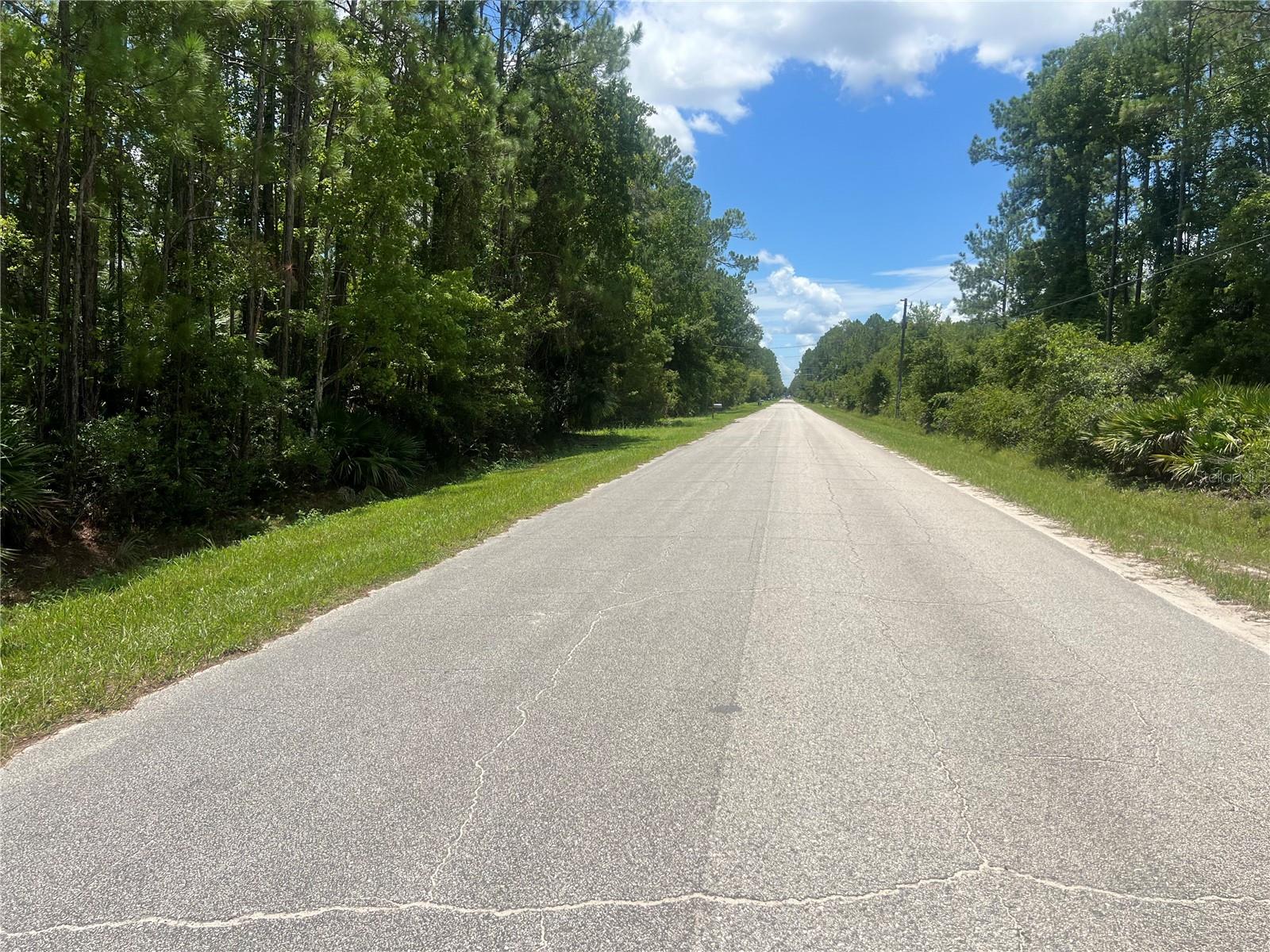1251 AVOCADO BLVD, BUNNELL, FL, 32110