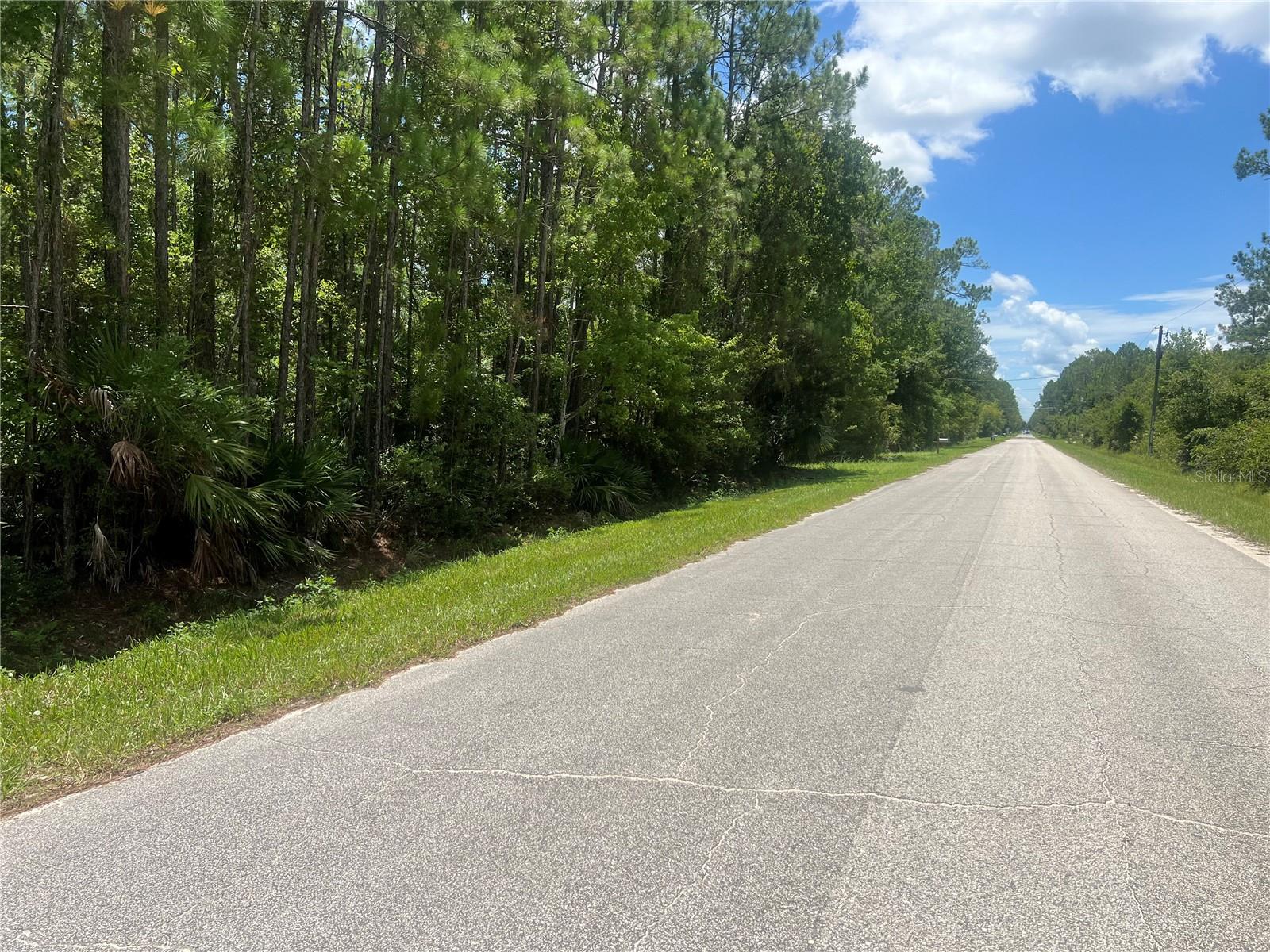 1251 AVOCADO BLVD, BUNNELL, FL, 32110