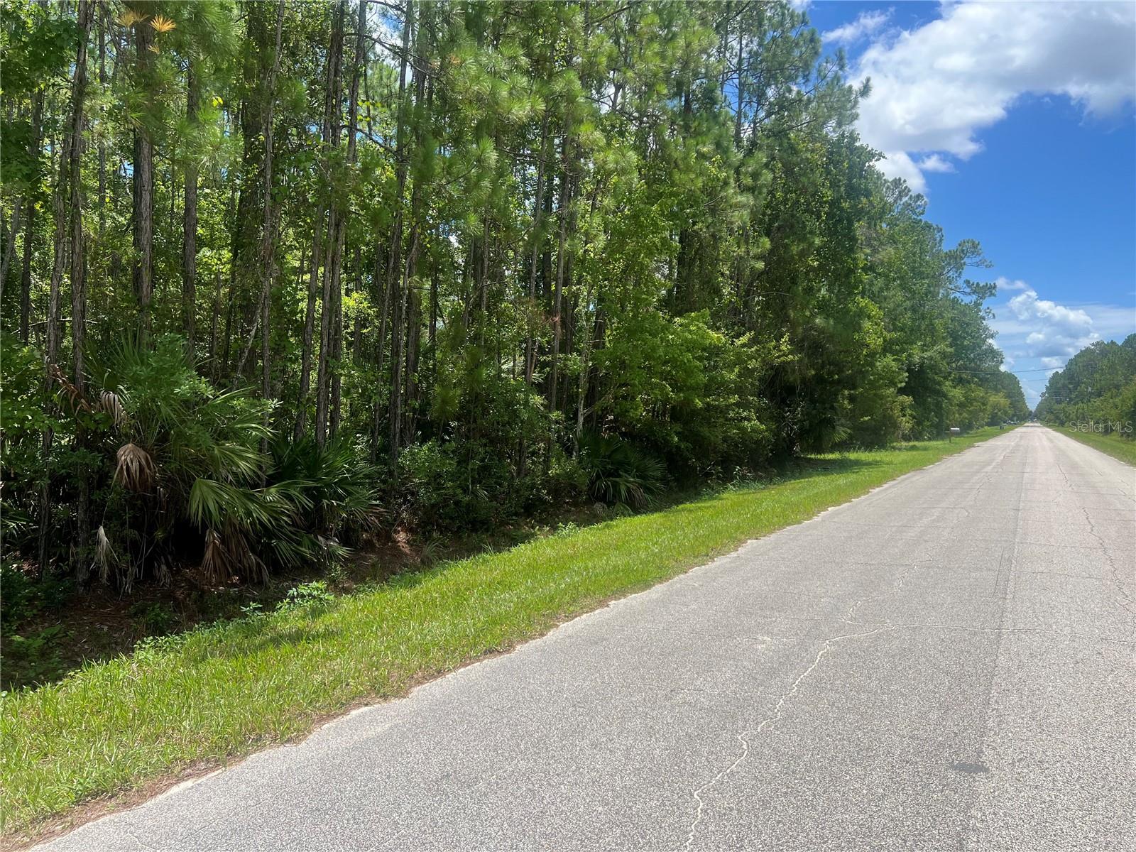 1251 AVOCADO BLVD, BUNNELL, FL, 32110