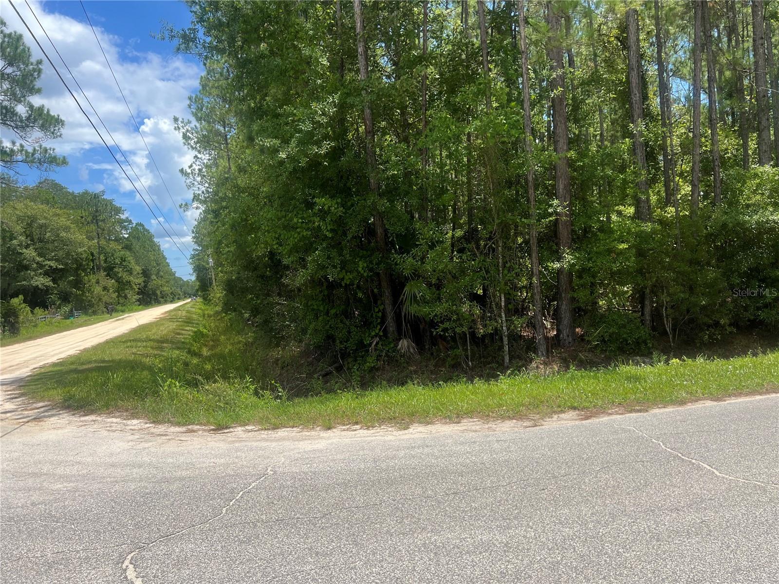 1251 AVOCADO BLVD, BUNNELL, FL, 32110