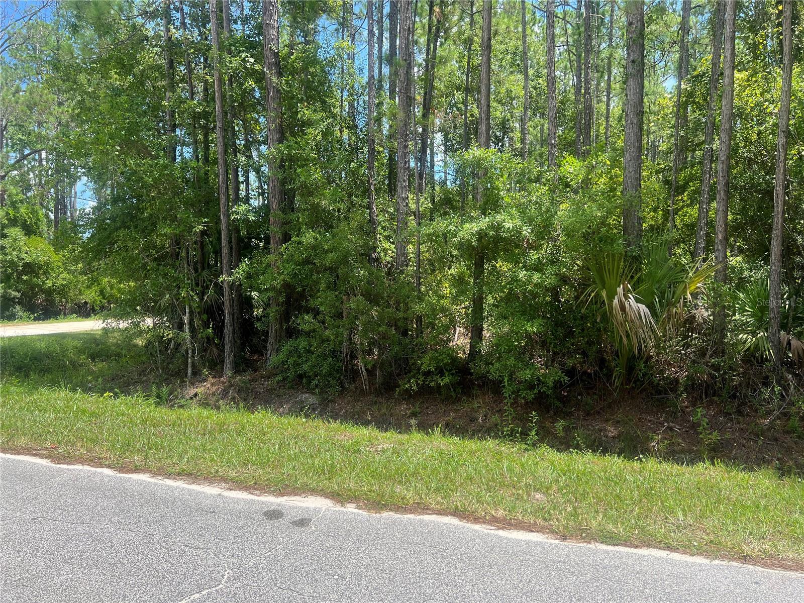 1251 AVOCADO BLVD, BUNNELL, FL, 32110