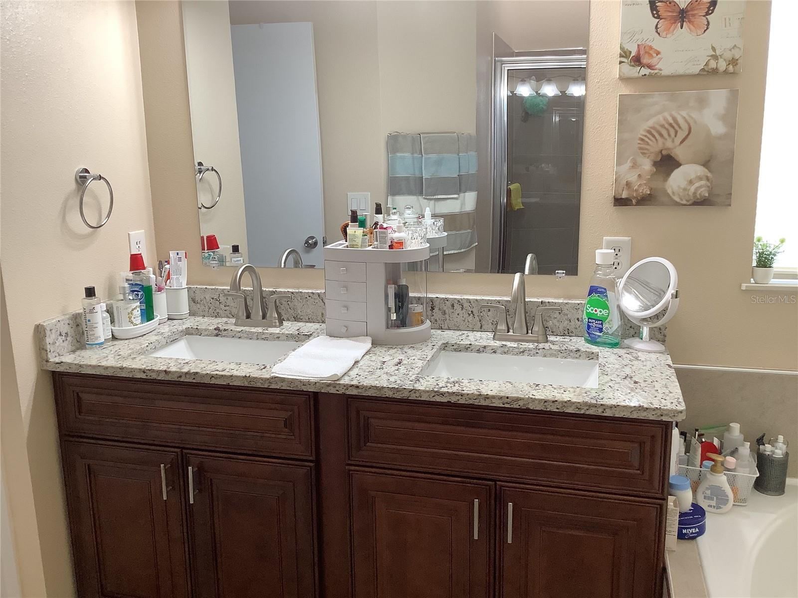 514 TREE SHORE DR, ORLANDO, FL, 32825