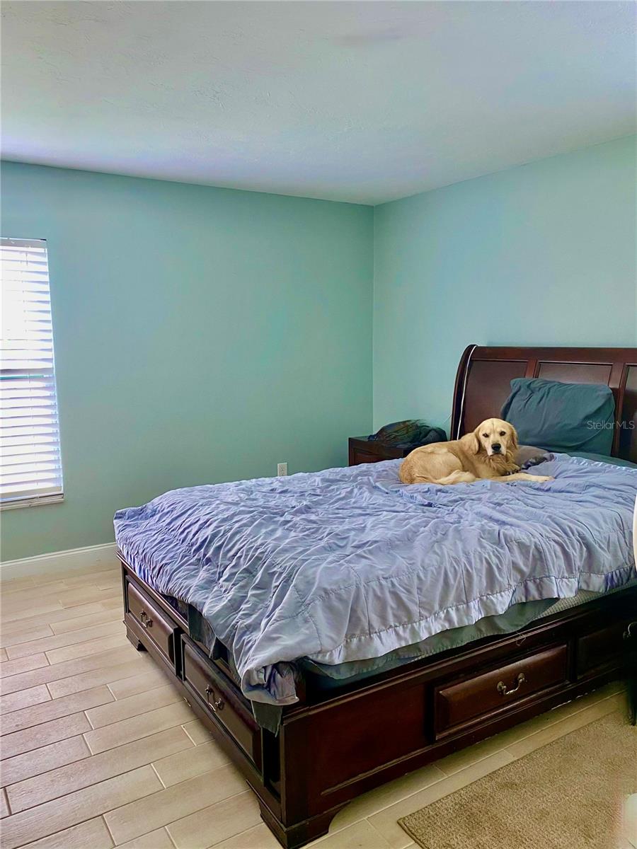 6196 CORALBERRY TER, PORT CHARLOTTE, FL, 33981