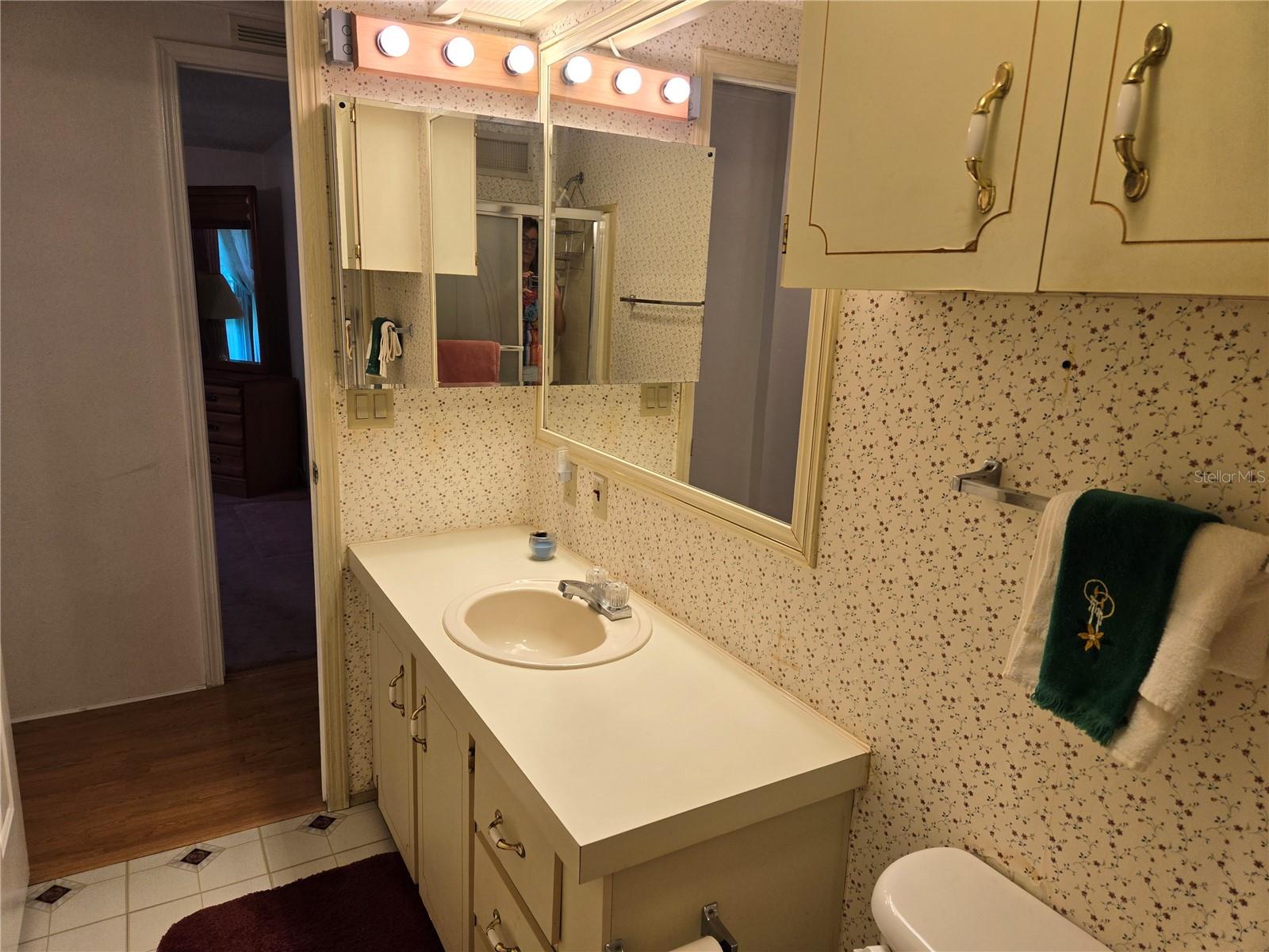 376 VICTORIA DR, HAINES CITY, FL, 33844