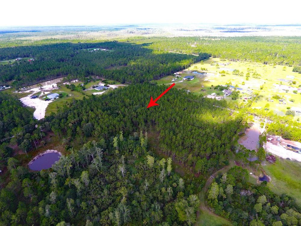 NATALIE'S LN, ORMOND BEACH, FL, 32174