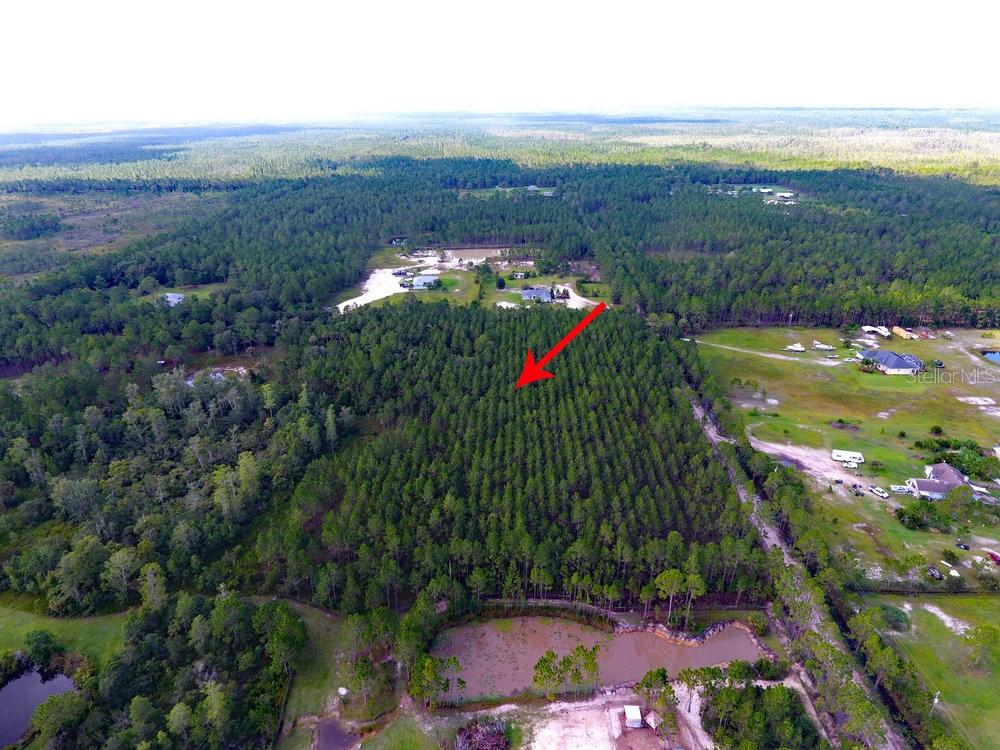 NATALIE'S LN, ORMOND BEACH, FL, 32174