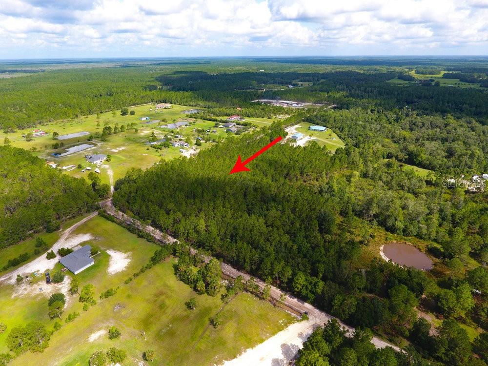 NATALIE'S LN, ORMOND BEACH, FL, 32174