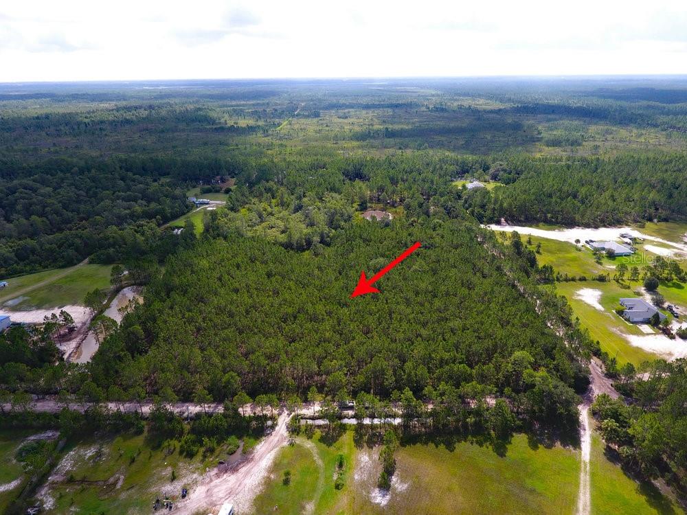 NATALIE'S LN, ORMOND BEACH, FL, 32174