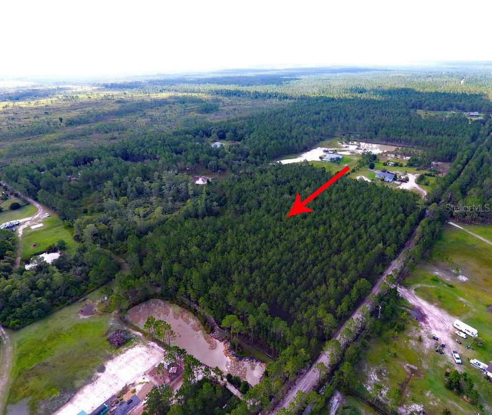 NATALIE'S LN, ORMOND BEACH, FL, 32174