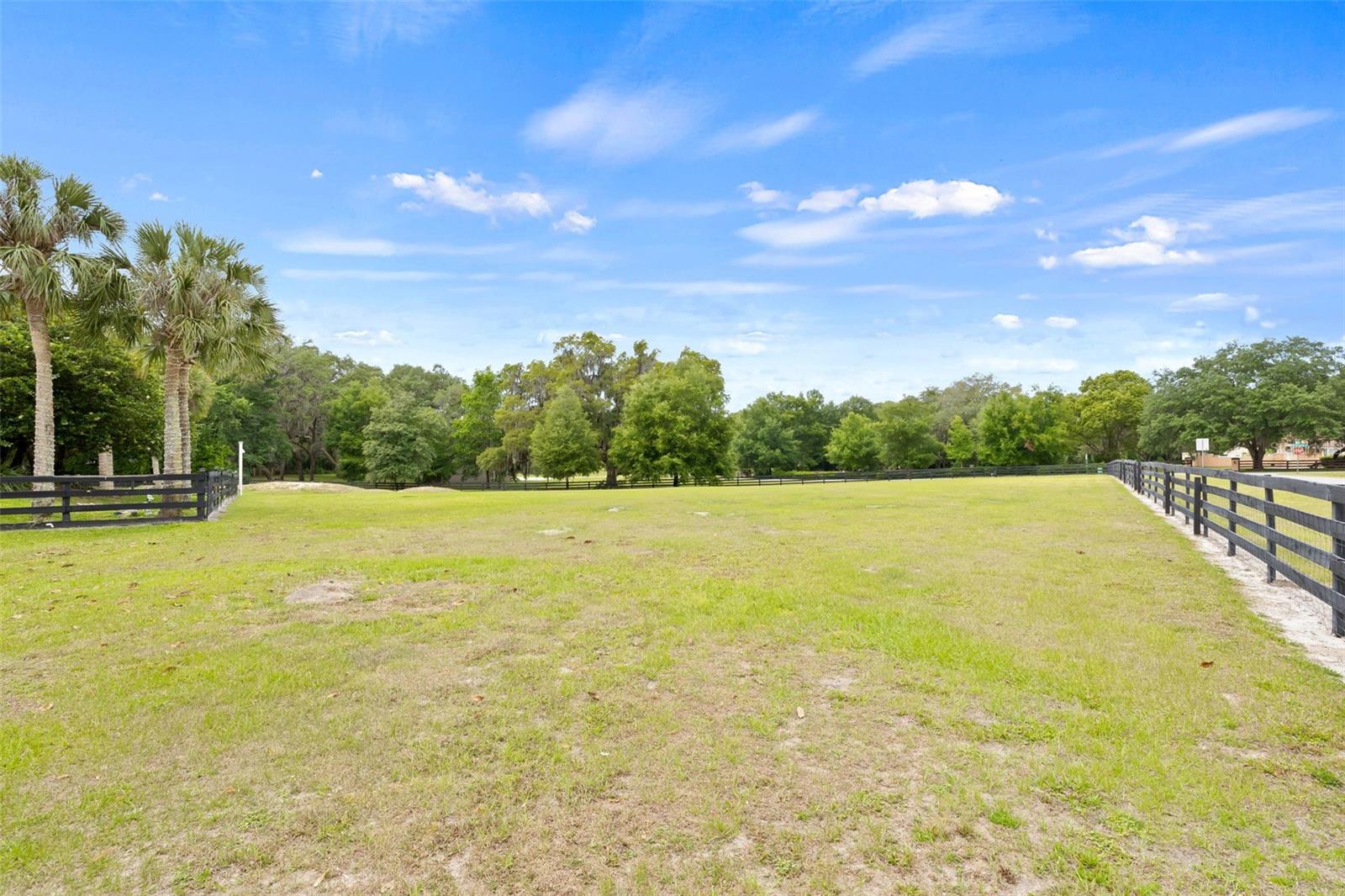 32131 HICKORY LN, SORRENTO, FL, 32776