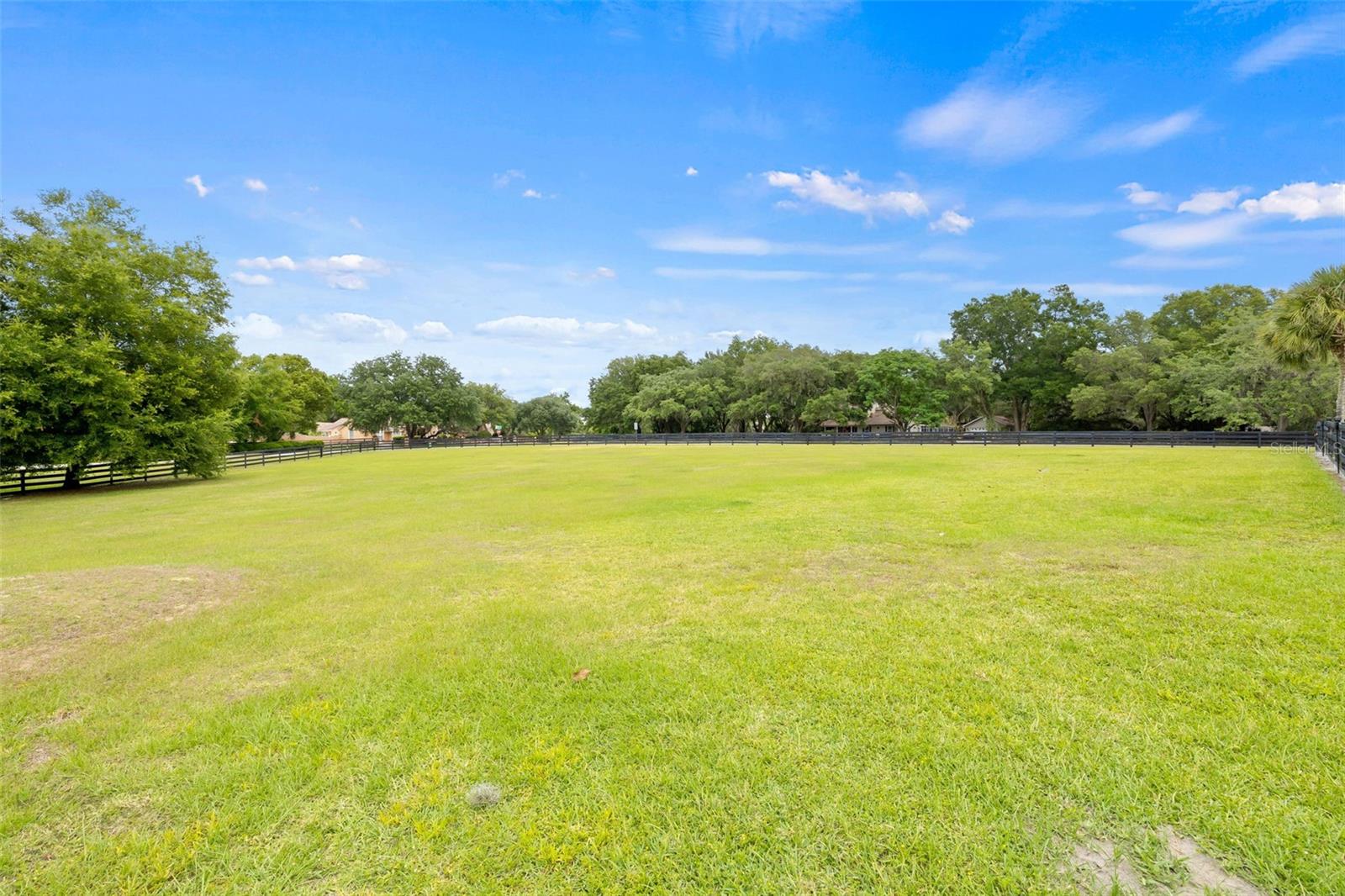 32131 HICKORY LN, SORRENTO, FL, 32776