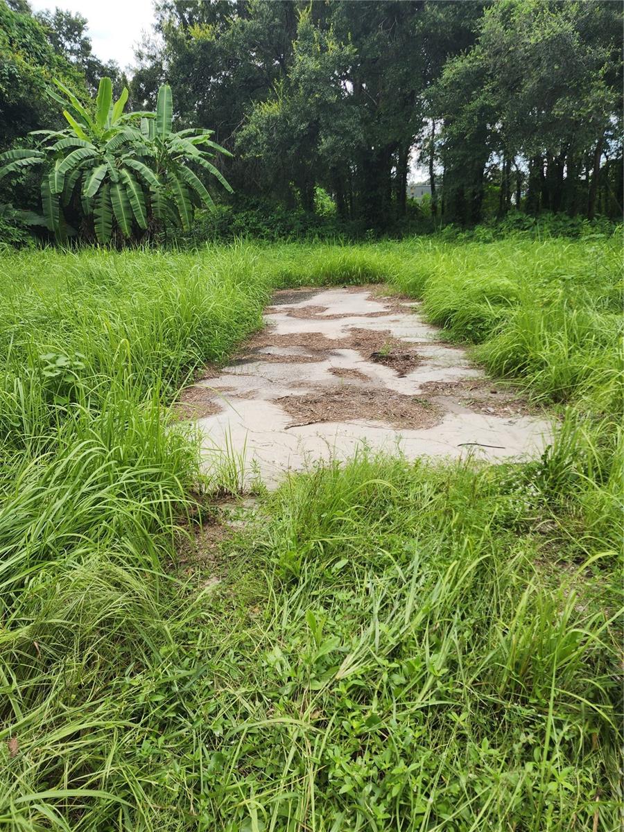 6229 EUGENE AVE, TAMPA, FL, 33619