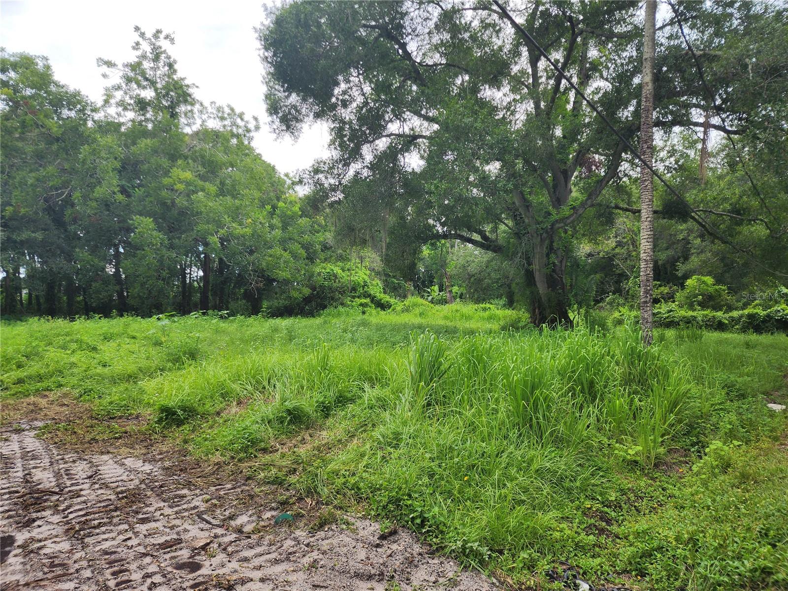 6229 EUGENE AVE, TAMPA, FL, 33619