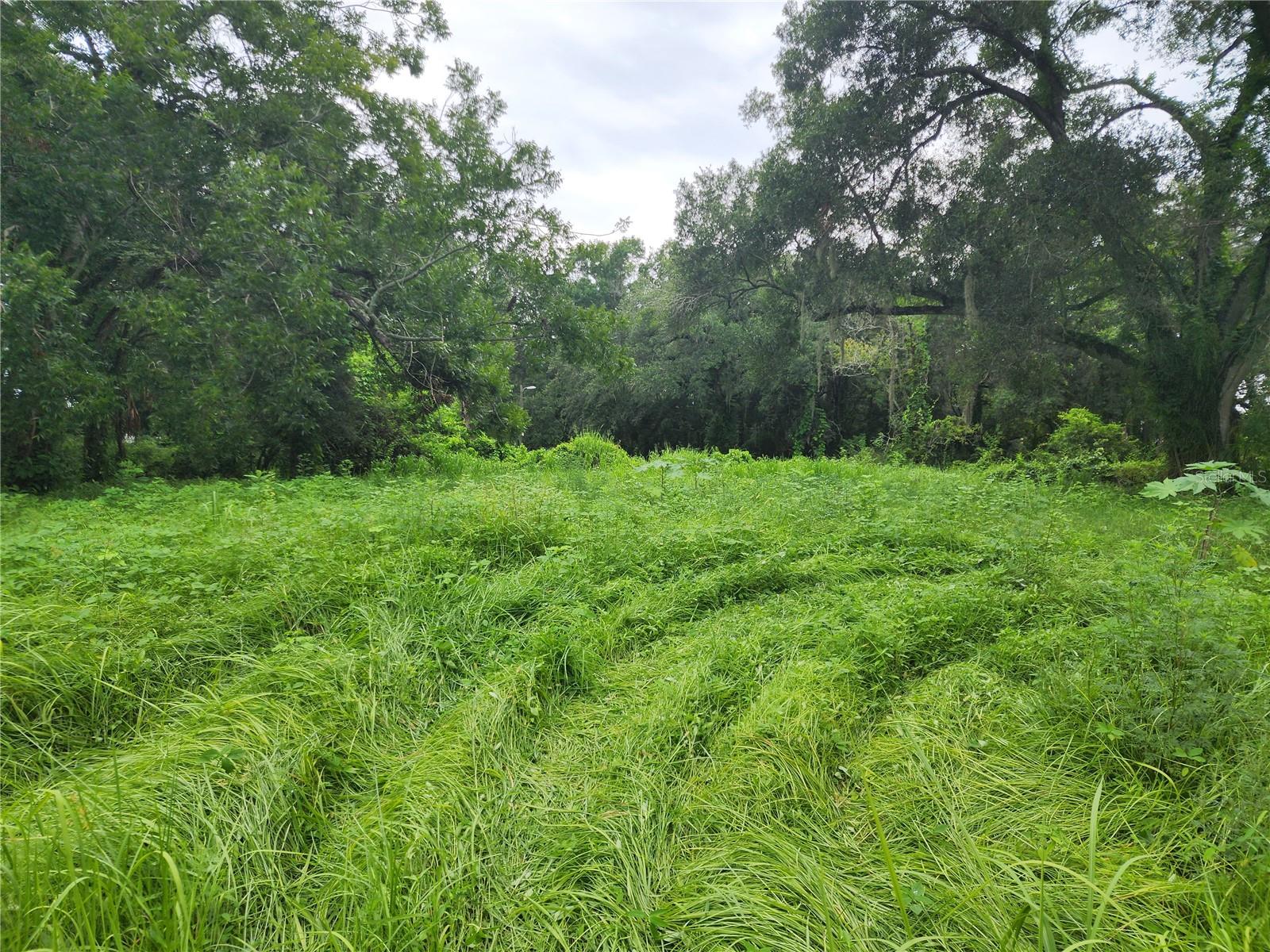 6229 EUGENE AVE, TAMPA, FL, 33619