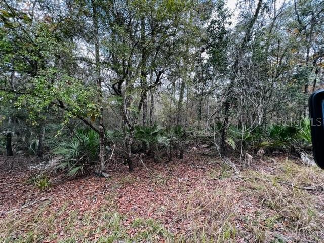 5229 NW 72ND WAY, BELL, FL, 32619