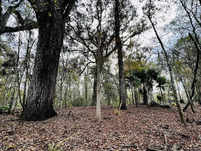 5229 NW 72ND WAY, BELL, FL, 32619