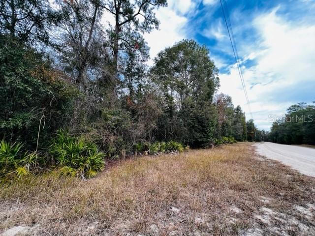 5229 NW 72ND WAY, BELL, FL, 32619