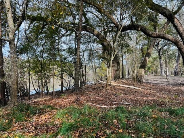 5229 NW 72ND WAY, BELL, FL, 32619