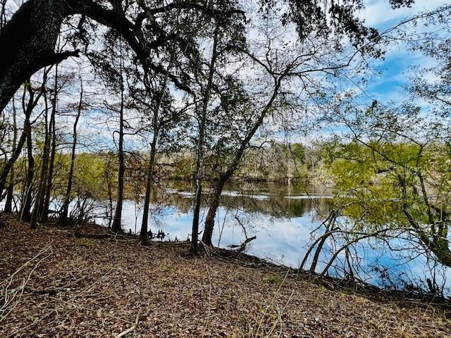 5229 NW 72ND WAY, BELL, FL, 32619