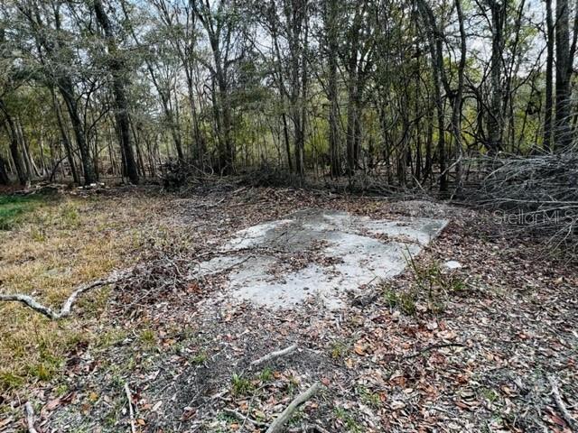 5229 NW 72ND WAY, BELL, FL, 32619