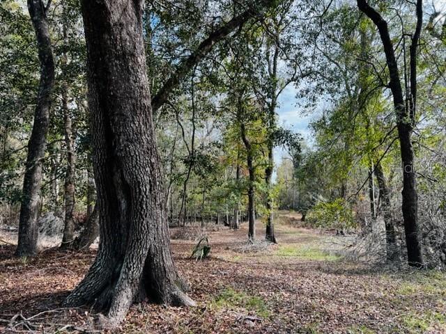 5229 NW 72ND WAY, BELL, FL, 32619