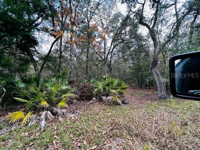 5229 NW 72ND WAY, BELL, FL, 32619