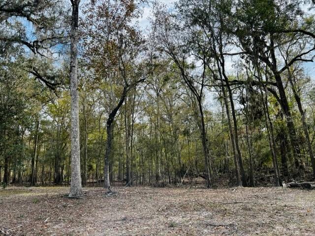 5229 NW 72ND WAY, BELL, FL, 32619