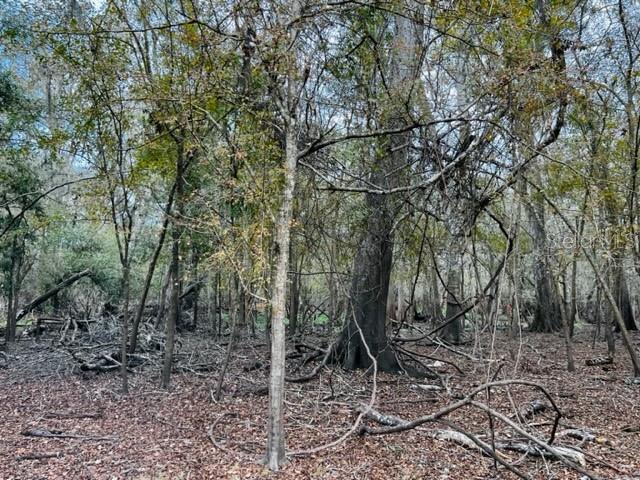 5229 NW 72ND WAY, BELL, FL, 32619